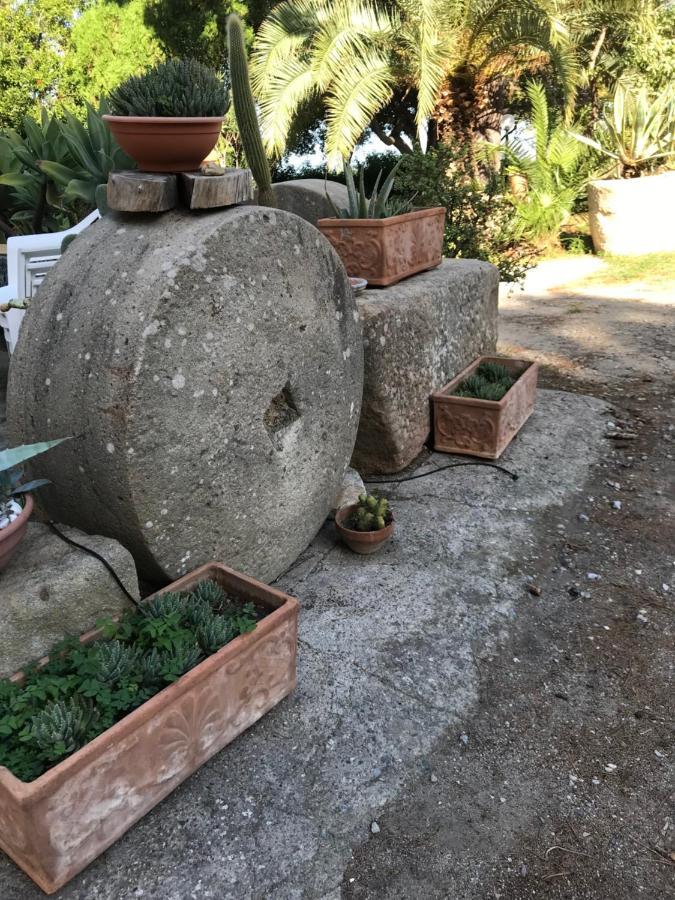 A Casa Di Peppino Villa Greco Тиндари Экстерьер фото