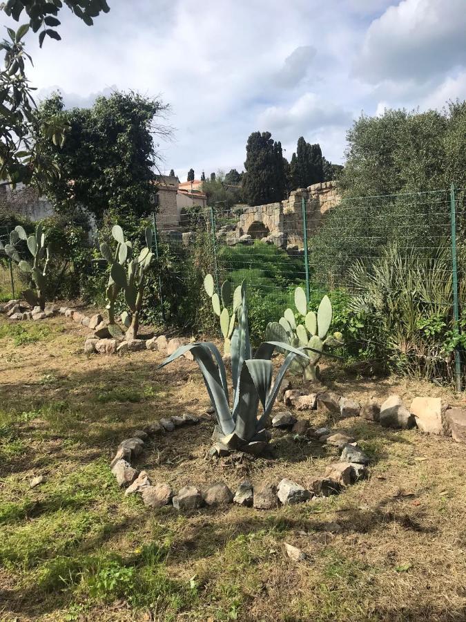 A Casa Di Peppino Villa Greco Тиндари Экстерьер фото