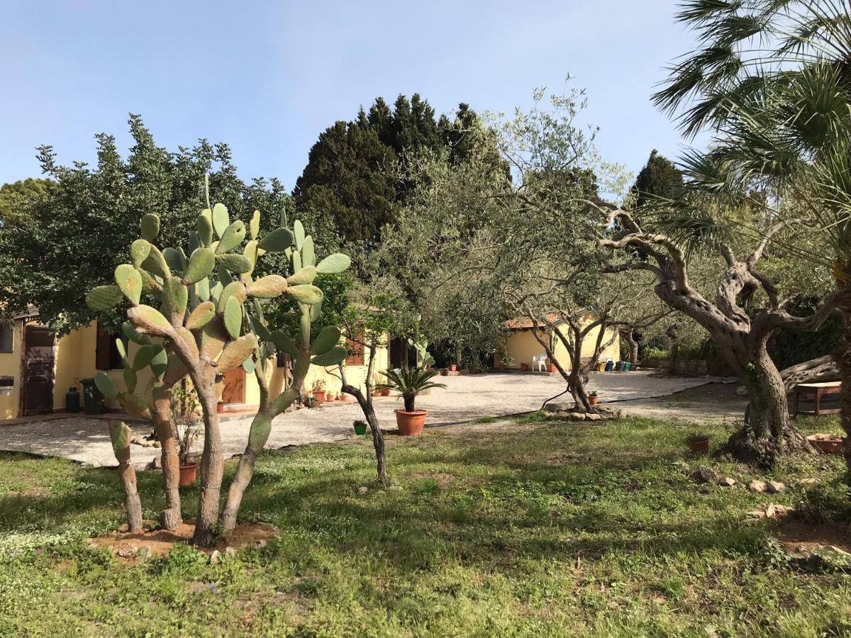 A Casa Di Peppino Villa Greco Тиндари Экстерьер фото