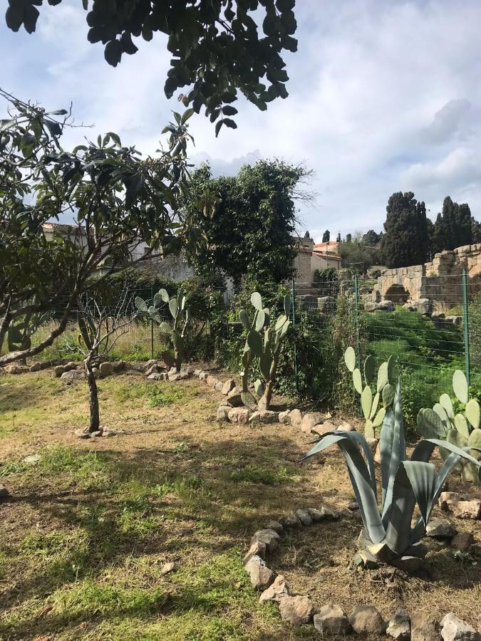 A Casa Di Peppino Villa Greco Тиндари Экстерьер фото