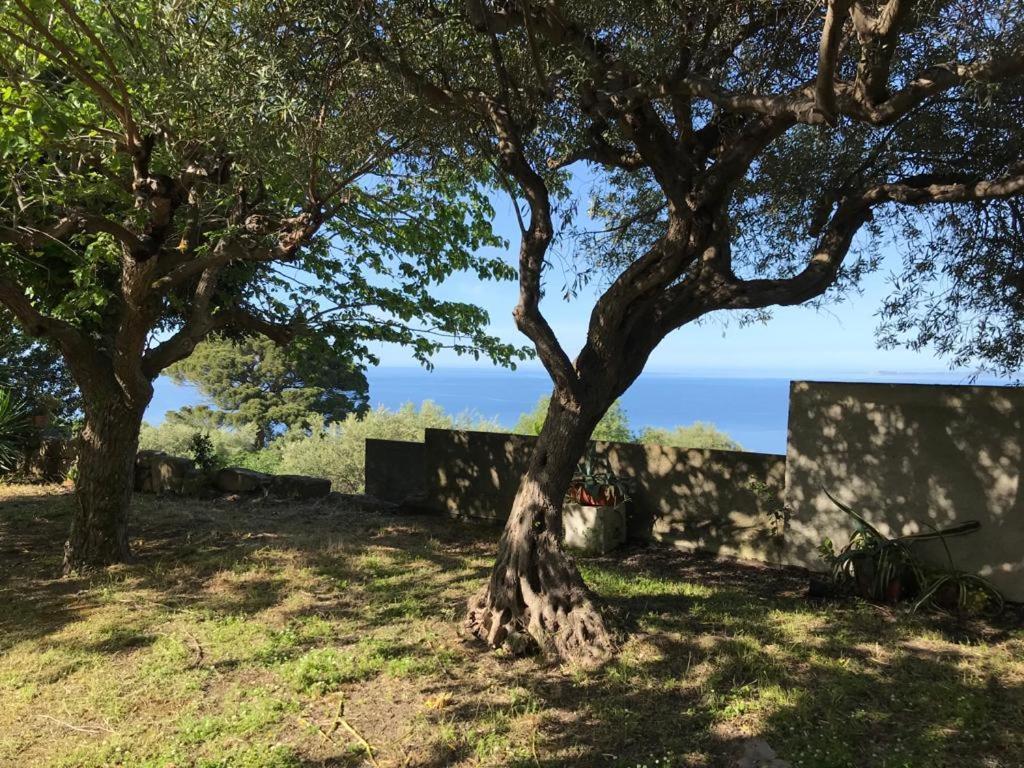 A Casa Di Peppino Villa Greco Тиндари Экстерьер фото